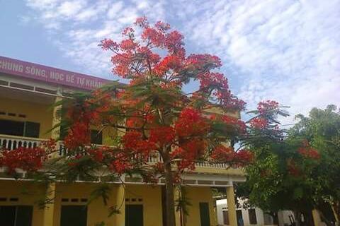 THÁNG 8, THÁNG CỦA NIỀM TIN, HY VỌNG